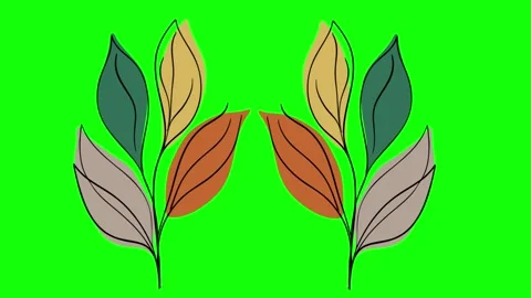 Green and White Screen on Green Screen Background Horizontal 16:9 Stock Footage 339328383