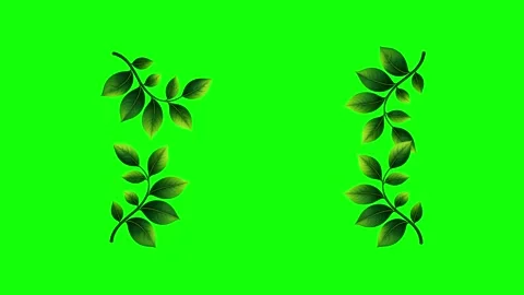 Green and White Screen on Green Screen Background Horizontal 16:9 Video stock 339348466