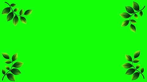 Green and White Screen on Green Screen Background Horizontal 16:9 Vídeo Stock 339348469