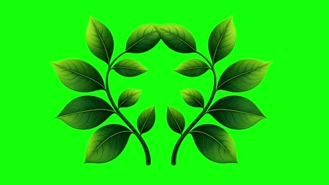 Green and White Screen on Green Screen Background Horizontal 16:9 Vidéo 339348500