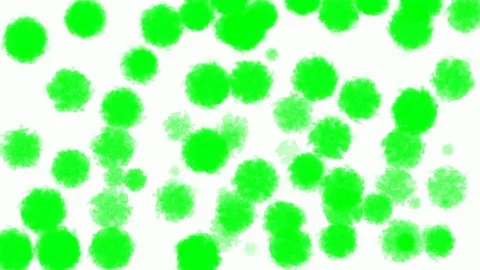 Green and white transition background Animation, Green screen Stock Footage 106100444