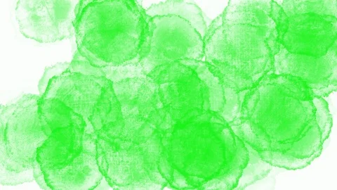 Green and white transition background Animation, Green screen Stock Footage 114411557