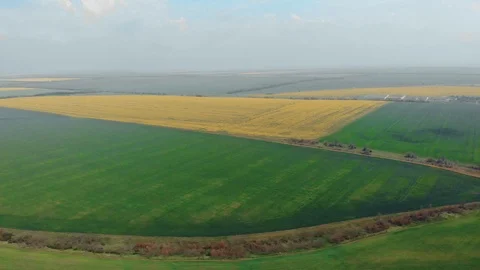 Green and Yellow Fields 库存影片 107533645