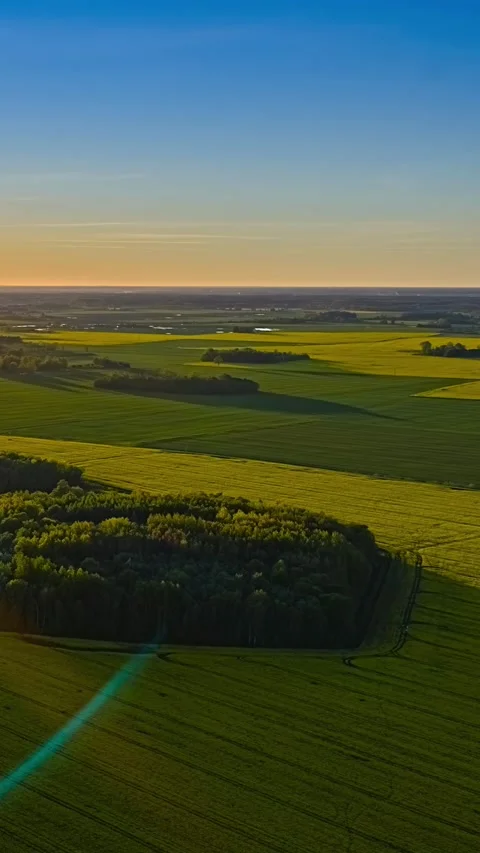Green and yellow fields with groves, vertical aerial hyperlapse time lapse Stock Footage 348343984