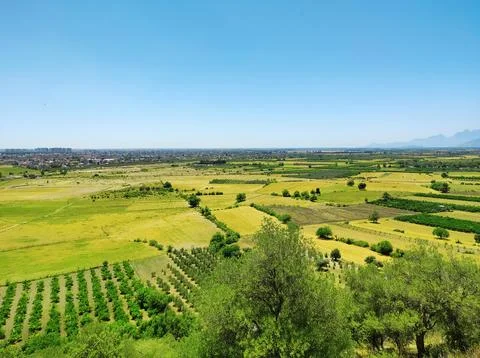Green and yellow fields, meadows and gardens surrounded by trees and shrubs Stock Photos