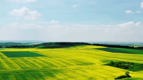 Green and yellow fields stretch under a cloudy sky Stock Footage 312482249