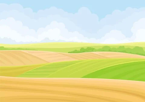 Green and yellow fields. Vector illustration on white background. イラスト素材
