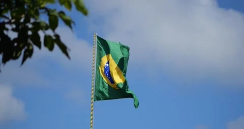 A green and yellow flag with the word Brazil on it Stock Footage 330188786