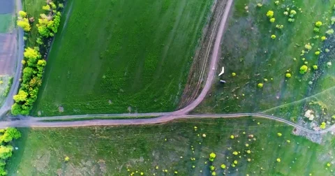 Green and yellow fresh spring fields. Stock Footage 83748236