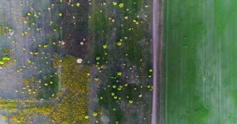 Green and yellow fresh spring fields and roads . Taken with drone Stock Footage 83749815