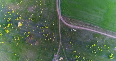 Green and yellow fresh spring fields and roads . Taken with drone Stock Footage 83749888