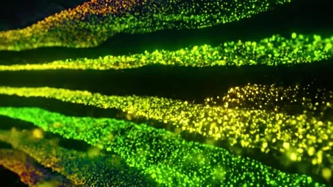 Green and yellow glowing particles flowing through dark abstract space Stock-Footage 341801558