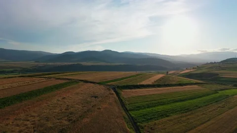Green and yellow patchwork fields in hilly landscape, drone aerial flyover Stock Footage 142498690