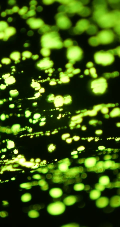 Green and Yellow Translucent Object with Microscopic Holes under Microscope Stock Footage 322606107