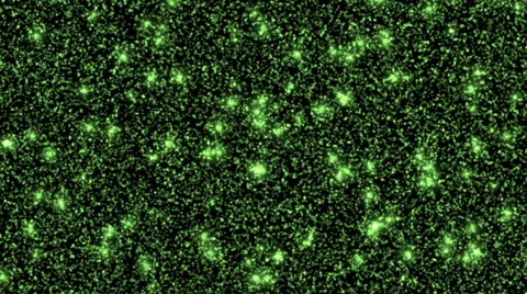 Green animated background Stock Footage 45163214
