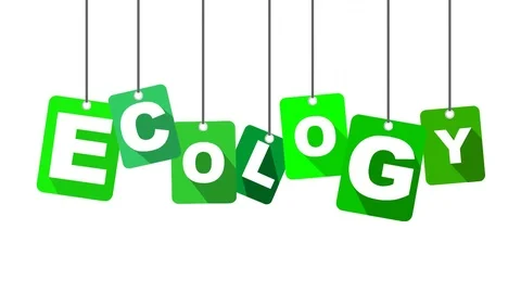 Green animation ecology Stock Footage 100998271