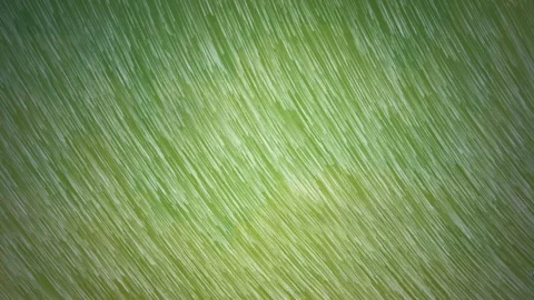 Green Animation Lines Particle Background, Loop Video Stock Footage 293726849