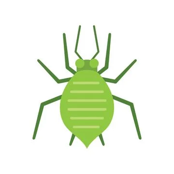 Green aphid insect pest crawling isolated on white background Stock Illustration