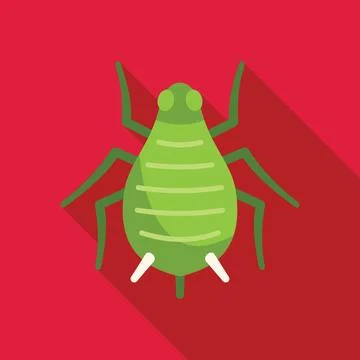 Green aphid insect spreading its legs on red background Stock Illustration