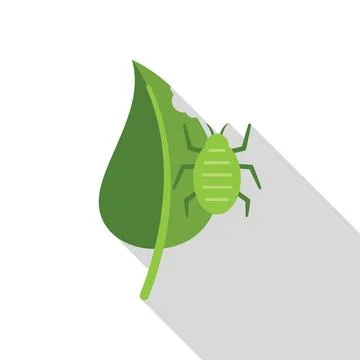 Green aphid sitting on a green leaf with bite marks icon 스톡 일러스트