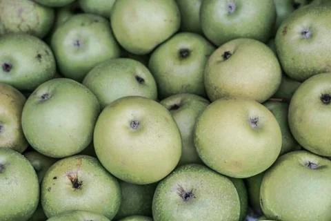 Green apple background Stock Photos