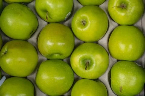 Green Apple Background, Stock Photos