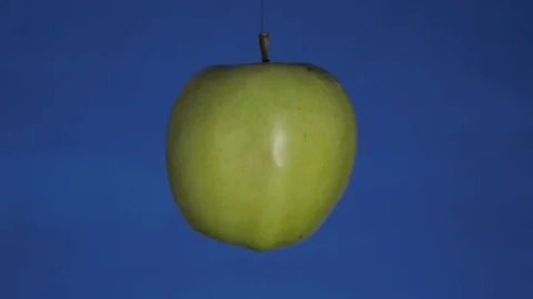 Green Apple on Blue Background Stock Footage 74249596