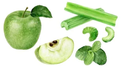 Green apple celery and mint watercolor illustration isolated on white background Stock Illustration