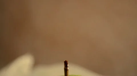 Green Apple Crane Down Video stock 21846101