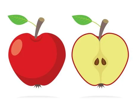 Green apple cut in half Stock Illustration