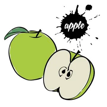 Green apple fruit Stock Illustration
