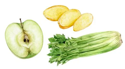 Green apple half celery banch and ginger slices watercolor illustration isolated Stock Illustration