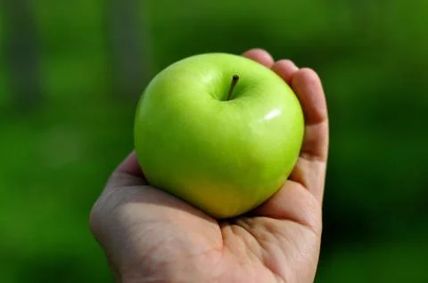Green apple on hand Stock Photos