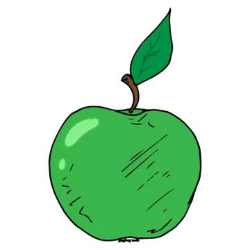 Green apple icon. Vector illustration of an apple. Hand drawn. Stock Illustration