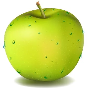 Green apple Illustrazione stock