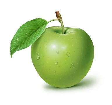 Green Apple isolated on white background Stock Illustration