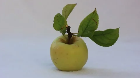 Green apple with leaves Stock Footage 52127921