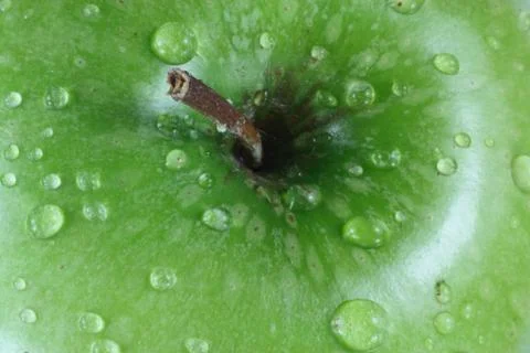Green Apple No3. Stock Photos