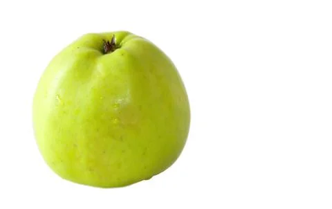 Green apple 写真素材