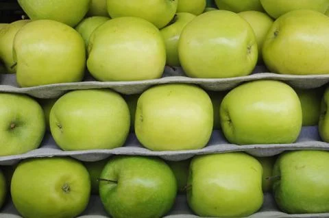 Green apple 写真素材
