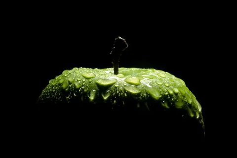 Green apple Stock Photos