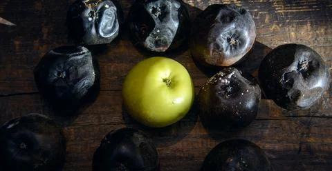A green apple Stock Photos