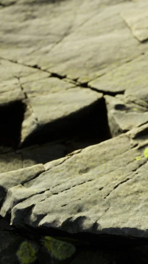 Green apple resting on a rock surface in natural outdoor setting Stock Footage 334186962