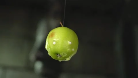 Green apple rotates Stock Footage 226498375