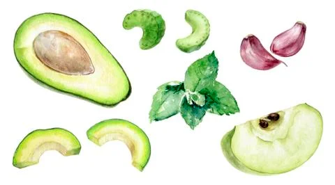Green apple slice avocado half mint celery and garlic watercolor illustration Stock Illustration