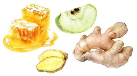 Green apple slice ginger root honey watercolor illustration isolated on white Stock Illustration