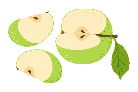 Green apple slice Hand drawn trendy flat style Illustrazione stock