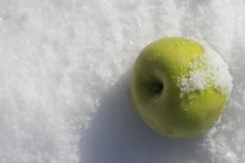 Green apple in the snow Stock Photos