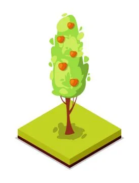 Green apple tree isometric 3D icon Stock Illustration