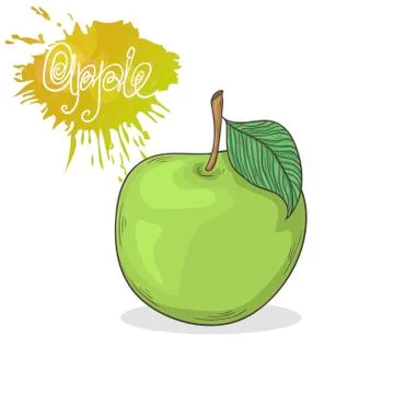 Green apple vector illustration Stock Illustration